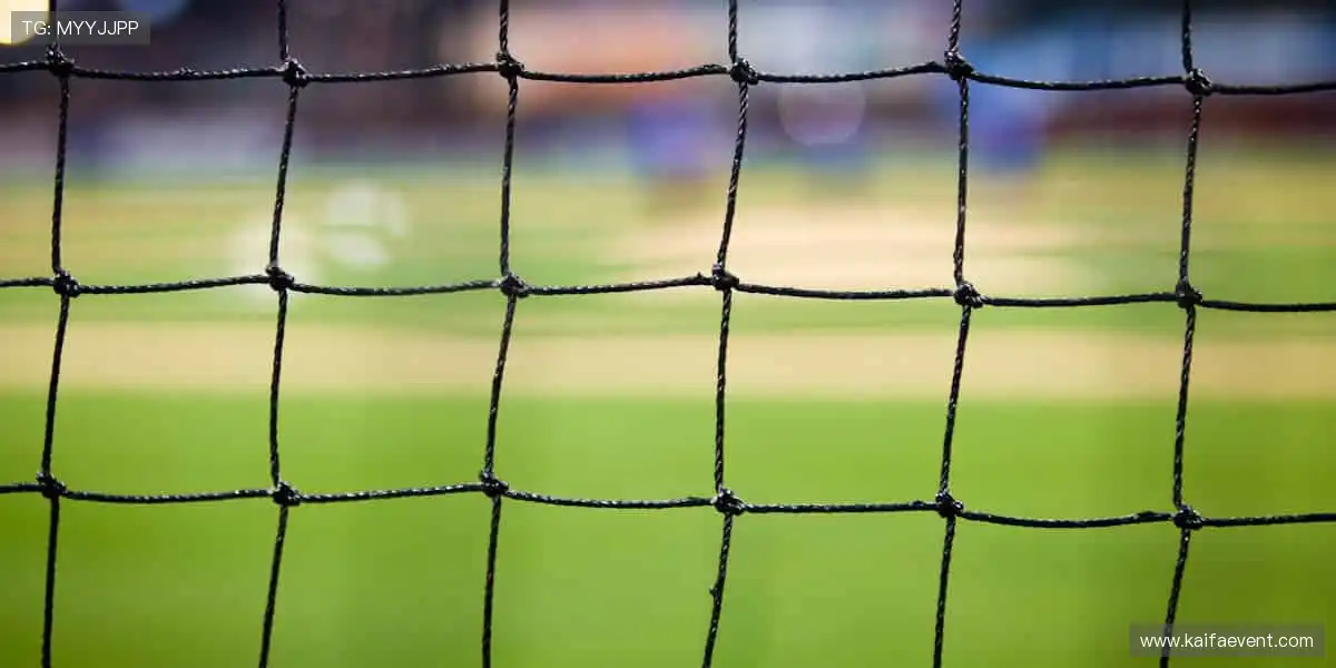 高清体育游戏频道：战报数据实时刷新，赛事资讯实时掌握互动更带感